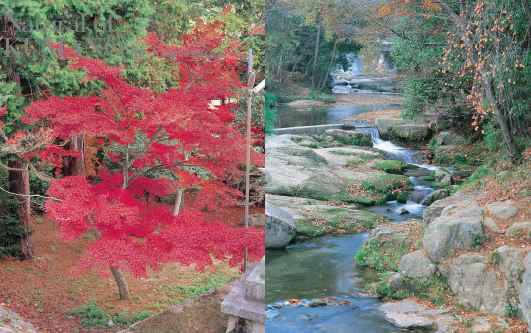 熊野町の秋の写真