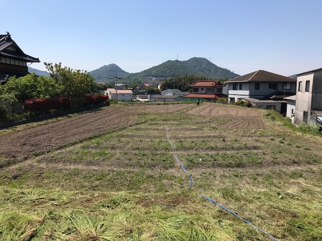 作業前ハーブ園