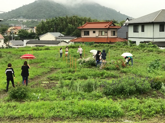 雨のハーブ園