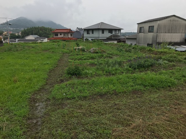 雨のハーブガーデン