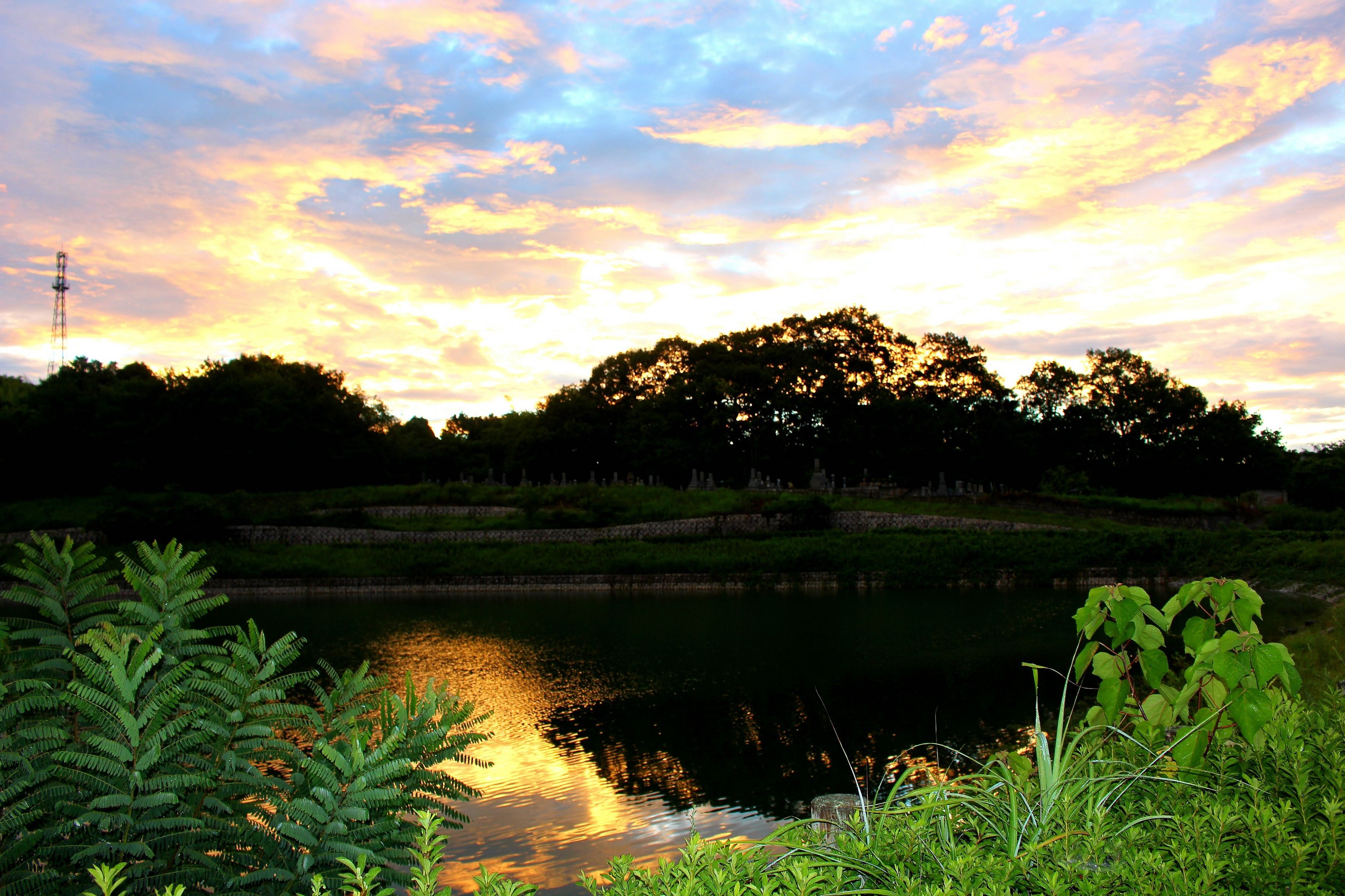 坂面大池から見る朝日