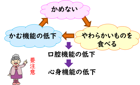 オーラルフレイルへの負の連鎖